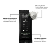 alt wtr Hydration Replenisher